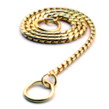 Gold Stainless Steel P-Chain Dog Collar with Neck Ring for Training