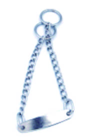 Stainless Steel Dog Collar with Laser Engraved Nameplate for Training