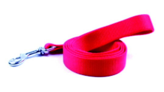 Long Dog Leash for Large Breeds and Cats Walking