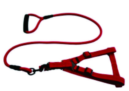 Car Dog Safety Leash with Seatbelt Clip for Small Medium Dogs
